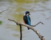 Filename=0253_fotowilga.JPG
Filesize=232KB
Dimensions=700x550
Date added=Jan 29, 2019 0253_fotowilga.JPG