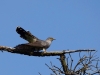 Filename=0255_fotowilga~44.JPG
Filesize=236KB
Dimensions=700x525
Date added=May 04, 2018 0255_fotowilga~44.JPG