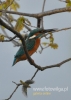 Filename=025_fotowilga~18.JPG
Filesize=68KB
Dimensions=343x480
Date added=Sep 29, 2015 025_fotowilga~18.JPG