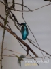 Filename=025_fotowilga~35.JPG
Filesize=52KB
Dimensions=360x480
Date added=Dec 25, 2016 025_fotowilga~35.JPG