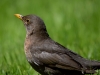 Filename=025_fotowilga~62.JPG
Filesize=222KB
Dimensions=700x525
Date added=Apr 28, 2019 025_fotowilga~62.JPG