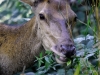 Filename=025_fotowilga~68.JPG
Filesize=332KB
Dimensions=700x525
Date added=Nov 02, 2019 025_fotowilga~68.JPG