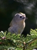 Filename=0262_fotowilga~40.JPG
Filesize=254KB
Dimensions=525x700
Date added=Feb 09, 2018 0262_fotowilga~40.JPG