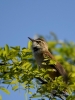 Filename=0265_fotowilga~50.JPG
Filesize=252KB
Dimensions=525x700
Date added=Jun 07, 2019 0265_fotowilga~50.JPG
