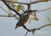Filename=026_fotowilga~16.JPG
Filesize=88KB
Dimensions=640x457
Date added=Nov 12, 2015 026_fotowilga~16.JPG