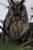 Filename=026_fotowilga~40.JPG
Filesize=246KB
Dimensions=466x700
Date added=Jun 06, 2017 026_fotowilga~40.JPG
