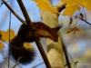 Filename=026_fotowilga~45.JPG
Filesize=249KB
Dimensions=700x525
Date added=Dec 02, 2017 026_fotowilga~45.JPG
