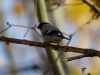 Filename=026_fotowilga~46.JPG
Filesize=214KB
Dimensions=700x525
Date added=Dec 08, 2017 026_fotowilga~46.JPG