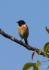 Filename=026_fotowilga~47.JPG
Filesize=179KB
Dimensions=499x700
Date added=Jan 24, 2018 026_fotowilga~47.JPG