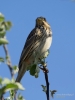 Filename=026_fotowilga~50.JPG
Filesize=215KB
Dimensions=525x700
Date added=Apr 27, 2018 026_fotowilga~50.JPG