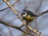 Filename=026_fotowilga~54.JPG
Filesize=229KB
Dimensions=700x525
Date added=Jan 06, 2019 026_fotowilga~54.JPG
