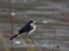 Filename=026_fotowilga~59.JPG
Filesize=246KB
Dimensions=700x525
Date added=Mar 31, 2019 026_fotowilga~59.JPG