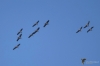 Filename=026_fotowilga~64.JPG
Filesize=178KB
Dimensions=700x464
Date added=Nov 05, 2019 026_fotowilga~64.JPG