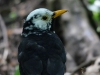 Filename=0270_fotowilga.JPG
Filesize=221KB
Dimensions=700x525
Date added=Mar 05, 2019 0270_fotowilga.JPG