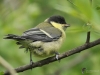 Filename=0277_fotowilga~35.JPG
Filesize=301KB
Dimensions=700x525
Date added=Jul 16, 2019 0277_fotowilga~35.JPG