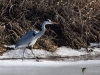 Filename=0278_fotowilga.JPG
Filesize=418KB
Dimensions=700x525
Date added=May 24, 2019 0278_fotowilga.JPG