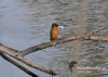 Filename=027_fotowilga~11.JPG
Filesize=101KB
Dimensions=640x457
Date added=Apr 15, 2015 027_fotowilga~11.JPG