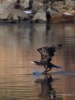 Filename=027_fotowilga~55.JPG
Filesize=253KB
Dimensions=525x700
Date added=Mar 16, 2019 027_fotowilga~55.JPG