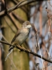 Filename=027_fotowilga~57.JPG
Filesize=236KB
Dimensions=525x700
Date added=Apr 07, 2019 027_fotowilga~57.JPG