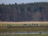 Filename=027_fotowilga~58.JPG
Filesize=323KB
Dimensions=700x525
Date added=Apr 15, 2019 027_fotowilga~58.JPG