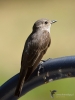 Filename=027_fotowilga~61.JPG
Filesize=213KB
Dimensions=525x700
Date added=Jul 17, 2019 027_fotowilga~61.JPG