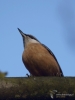 Filename=027_fotowilga~62.JPG
Filesize=190KB
Dimensions=525x700
Date added=Oct 28, 2019 027_fotowilga~62.JPG