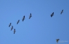 Filename=027_fotowilga~63.JPG
Filesize=174KB
Dimensions=700x455
Date added=Nov 07, 2019 027_fotowilga~63.JPG