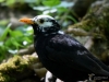 Filename=0280_fotowilga~42.JPG
Filesize=232KB
Dimensions=700x525
Date added=Mar 03, 2019 0280_fotowilga~42.JPG