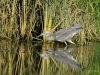 Filename=0285_fotowilga~43.JPG
Filesize=432KB
Dimensions=700x525
Date added=Nov 30, 2019 0285_fotowilga~43.JPG
