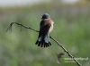 Filename=0286_fotowilga~30.JPG
Filesize=56KB
Dimensions=640x475
Date added=Jul 19, 2016 0286_fotowilga~30.JPG