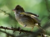 Filename=0288_fotowilga.JPG
Filesize=307KB
Dimensions=700x525
Date added=Jul 24, 2019 0288_fotowilga.JPG