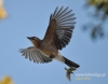 Filename=028_fotowilga~15.JPG
Filesize=71KB
Dimensions=611x480
Date added=Nov 03, 2015 028_fotowilga~15.JPG