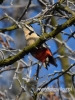 Filename=028_fotowilga~31.JPG
Filesize=72KB
Dimensions=360x480
Date added=Dec 06, 2016 028_fotowilga~31.JPG