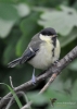 Filename=028_fotowilga~49.JPG
Filesize=225KB
Dimensions=499x700
Date added=Dec 02, 2017 028_fotowilga~49.JPG