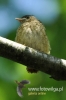 Filename=0290_fotowilga~28.JPG
Filesize=67KB
Dimensions=320x480
Date added=May 05, 2016 0290_fotowilga~28.JPG