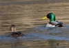 Filename=0298_fotowilga~0.JPG
Filesize=260KB
Dimensions=700x492
Date added=Feb 11, 2021 0298_fotowilga~0.JPG