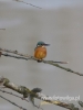 Filename=029_fotowilga~37.JPG
Filesize=43KB
Dimensions=360x480
Date added=Dec 15, 2016 029_fotowilga~37.JPG