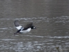Filename=029_fotowilga~61.JPG
Filesize=311KB
Dimensions=700x525
Date added=Feb 02, 2019 029_fotowilga~61.JPG