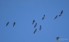 Filename=029_fotowilga~67.JPG
Filesize=155KB
Dimensions=700x433
Date added=Nov 06, 2019 029_fotowilga~67.JPG