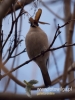 Filename=030_fotowilga~30.JPG
Filesize=57KB
Dimensions=360x480
Date added=Dec 10, 2016 030_fotowilga~30.JPG