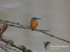 Filename=030_fotowilga~31.JPG
Filesize=72KB
Dimensions=640x480
Date added=Dec 25, 2016 030_fotowilga~31.JPG