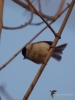 Filename=030_fotowilga~44.JPG
Filesize=234KB
Dimensions=525x700
Date added=Dec 21, 2017 030_fotowilga~44.JPG