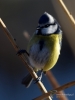 Filename=030_fotowilga~46.JPG
Filesize=222KB
Dimensions=525x700
Date added=Feb 09, 2018 030_fotowilga~46.JPG