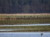 Filename=030_fotowilga~61.JPG
Filesize=289KB
Dimensions=700x525
Date added=May 14, 2019 030_fotowilga~61.JPG
