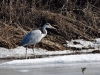 0312_fotowilga~47.JPG