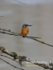 Filename=031_fotowilga~31.JPG
Filesize=46KB
Dimensions=360x480
Date added=Feb 03, 2017 031_fotowilga~31.JPG