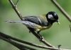 Filename=031_fotowilga~38.JPG
Filesize=221KB
Dimensions=700x500
Date added=Jun 11, 2017 031_fotowilga~38.JPG