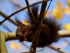 Filename=031_fotowilga~46.JPG
Filesize=250KB
Dimensions=700x525
Date added=Jan 04, 2018 031_fotowilga~46.JPG