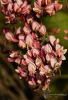 Filename=031_fotowilga~51.JPG
Filesize=251KB
Dimensions=478x700
Date added=Sep 11, 2018 031_fotowilga~51.JPG