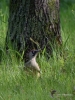 Filename=031_fotowilga~52.JPG
Filesize=354KB
Dimensions=525x700
Date added=Mar 04, 2019 031_fotowilga~52.JPG